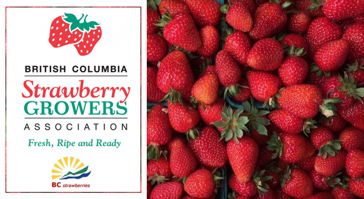 Win a flat of BC Strawberries